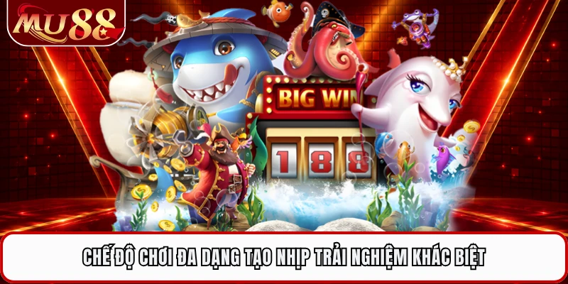 Chế độ chơi đa dạng tạo nhịp trải nghiệm khác biệt